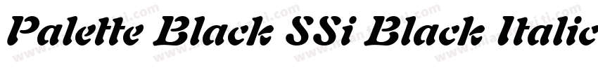 Palette Black SSi Black Italic字体转换
